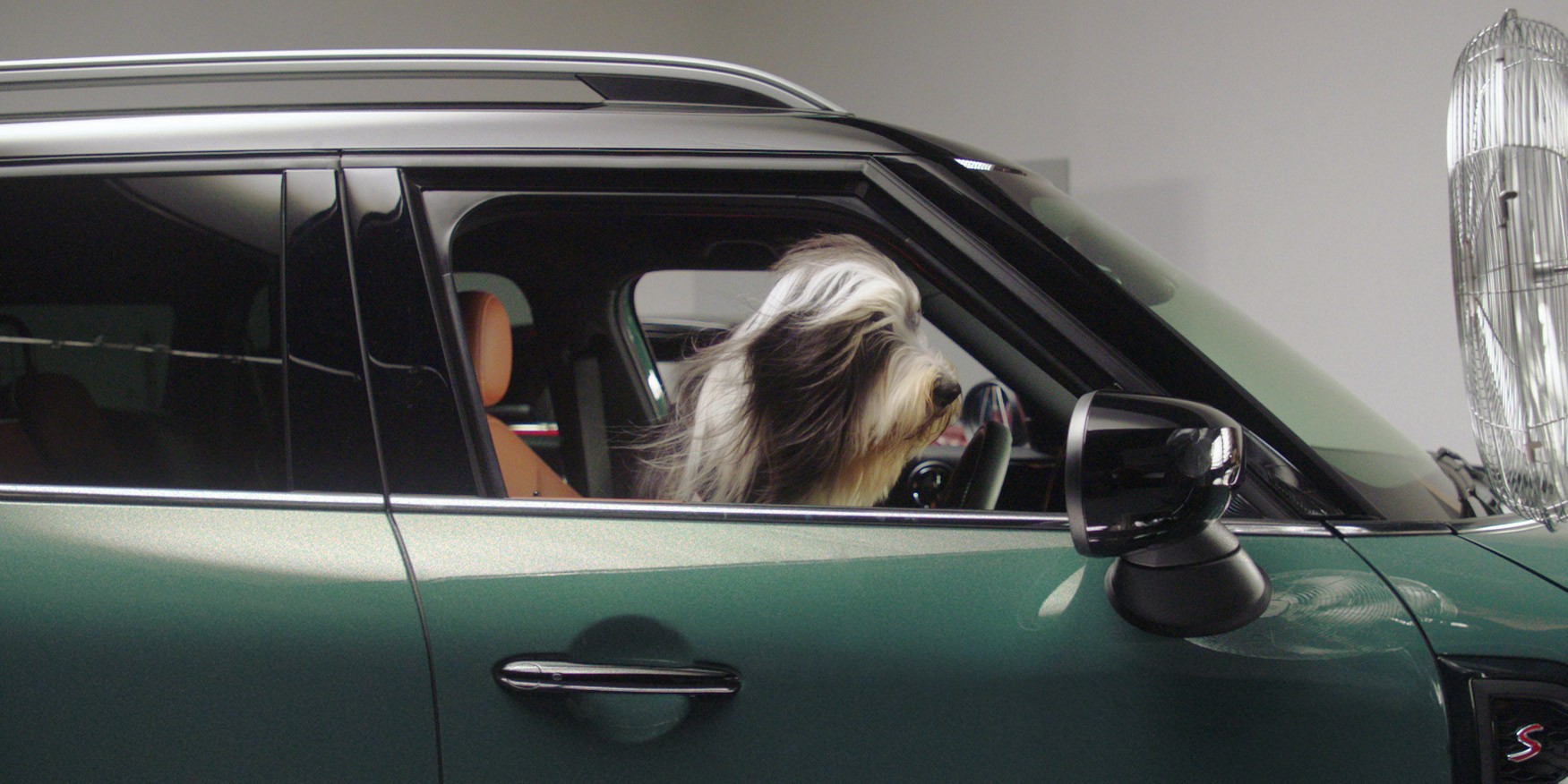 mini dogs happier hub